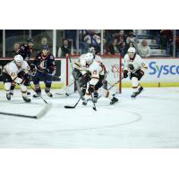 Vancouver Giants' Mazden Leslie, Samuel Honzek and Damian Palmieri in action