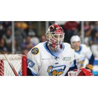 Toledo's Walleye goaltender Sebastian Cossa