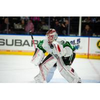 Texas Stars goaltender Dylan Wells