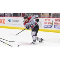 Adirondack Thunder's Shane Harper in action