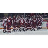 Peterborough Petes celebrate win