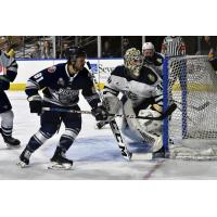 Worcester Railers' Anthony Repaci versus Maine Mariners' Michael DiPietro