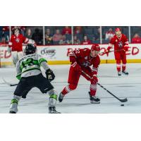 Savannah Ghost Pirates' Alex Swetlikoff and Allen Americans' Dalton Gally in action