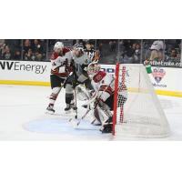 Tucson Roadrunners' netminder David Tendeck in action