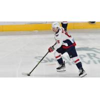 South Carolina Stingrays' Josh Wilkins on the ice