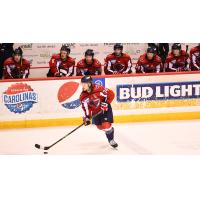 South Carolina Stingrays' Connor Moore on game night