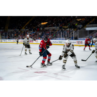 Springfield Thunderbirds' Adam Gaudette versus Hershey Bears' Vincent Iorio