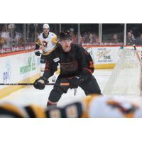 Lehigh Valley Phantoms defenseman Ronnie Attard