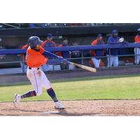 Syracuse Mets' Lorenzo Cedrola at bat