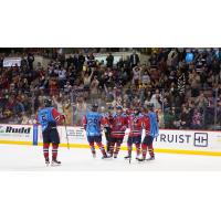 South Carolina Stingrays celebrate win