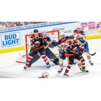 Rockford IceHogs battle the Milwaukee Admirals