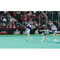 Panther City Lacrosse Club's Phil Caputo and Patrick Dodds versus Calgary Roughnecks' Harrison Matsuoka