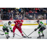 Allen Americans' Jakov Novak battles Savannah Ghost Pirates' Troy Lajeunesse and Aidan Brown