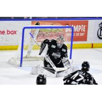 Idaho Steelheads' Goaltender Dylan Wells