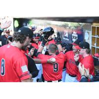 Fayetteville Woodpeckers' Ryan Wrobleski celebrates win