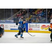 Springfield Thunderbirds defenseman Dmitri Samorukov