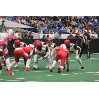 Jacksonville Sharks take on the West Texas Warbirds