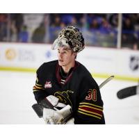 Vancouver Giants' goaltender Jesper Vikman