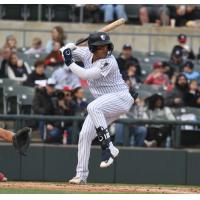 Somerset Patriots' Carlos Narvaez at bat