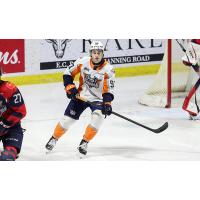 Amadeus Lombardi with the Flint Firebirds