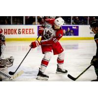 Allen Americans defenseman Zach Massicotte