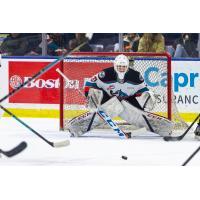 Kelowna Rockets goaltender Talyn Boyko