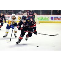 Regina Pats defenceman Stanislav Svozil