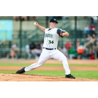 Columbia Fireflies' Shane Panzini in action