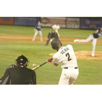 Tri-City Dust Devils shortstop Arol Vera at bat