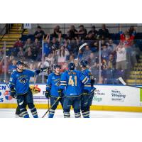 Springfield Thunderbirds celebrate win