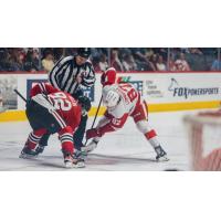 Rockford IceHogs' Cam Hillis versus Grand Rapids Griffins' Amadeus Lombardi