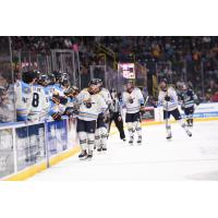 Atlanta Gladiators celebrate win