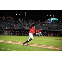 Fayetteville Woodpeckers on game night