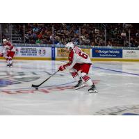 Allen Americans' Hank Crone in action