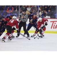 Vancouver Giants forward Ty Halaburda