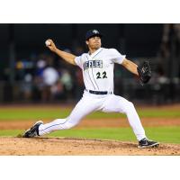 Columbia Fireflies' John McMillon in action