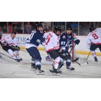 Worcester Railers' Ryan DaSilva and Myles McGurty versus Adirondack Thunder's Patrick Grasso