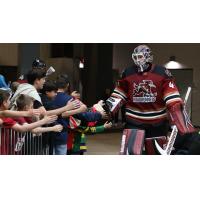 Tucson Roadrunners' Tyler Parks greets fans