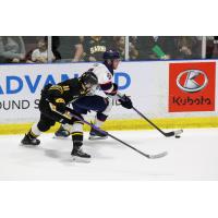 Saginaw Spirit battle the Sarnia Sting