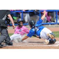 Biloxi Shuckers catcher Nick Kahle (right) applies the tag