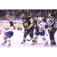 Springfield Thunderbirds take on the Providence Bruins