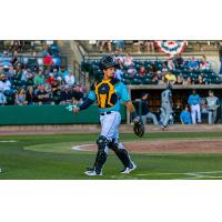 Charleston RiverDogs catcher Dominic Keegan