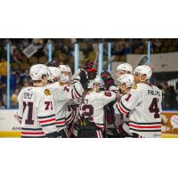 Rockford IceHogs celebrate win