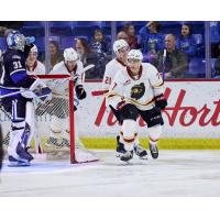 Vancouver Giants forward Ty Halaburda