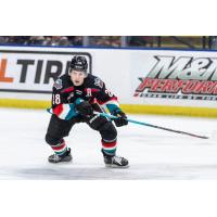 Kelowna Rockets left wing Andrew Cristall