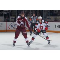 Peterborough Petes' Jonathan Melee and Ottawa 67's' Henry Mews on game night