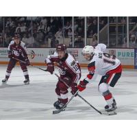 Peterborough Petes' J.R. Avon and Ottawa 67's' Jack Beck in action