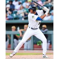 Columbia Fireflies' Erick Pena at bat