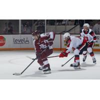 Peterborough Petes' Chase Stillman versus Ottawa 67's Cam Tolnai