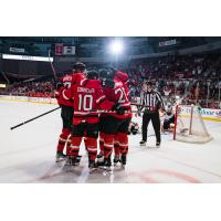 Charlotte Checkers' Santtu Kinnunen, Cory Conacher and Connor Bunnaman celebrate win